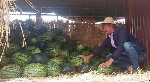 吃瓜群众流泪图片,吃瓜群众共情瞬间