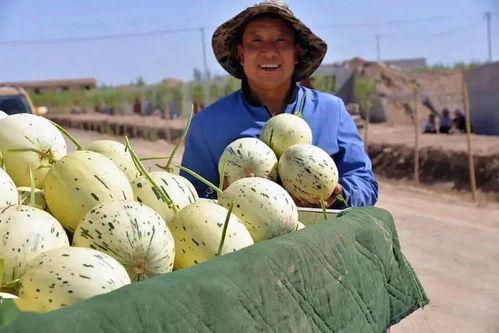 群众一路吃瓜视频,揭秘群众眼中的社会百态