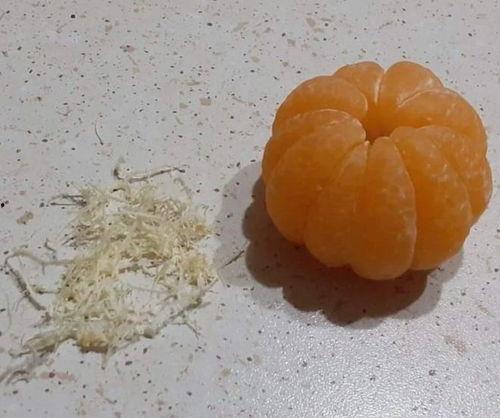 橘子吃瓜,探寻橘子与瓜的奇妙缘分