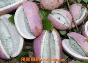 滴滴滴吃瓜,揭秘娱乐圈幕后故事