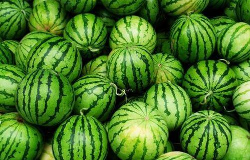 夏天小白瓜怎么吃美食,清爽解暑,美味无限