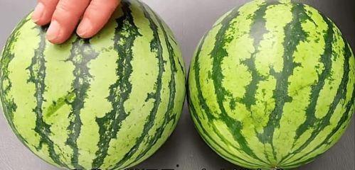吃瓜的幸福时节,揭秘吃瓜的幸福时节