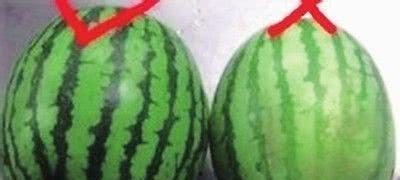 悄悄吃瓜3,揭秘娱乐圈背后的秘密与真相