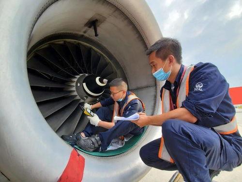 在航班上吃瓜,航班上的瓜果时光