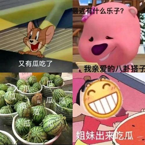 如何看待吃瓜pdf,揭秘网络时代的舆论风向标