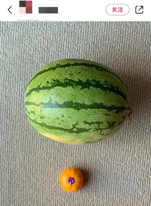 最全热门吃瓜,盘点2023年度最全热门吃瓜事件大盘点