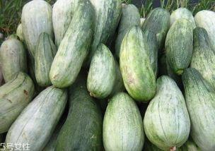 没瓜怎么吃,没瓜的多样食用方法揭秘