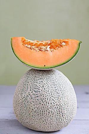 吃瓜瓜哈密瓜,揭秘哈密瓜的甜蜜诱惑