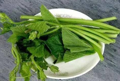 江西搞笑吃瓜,笑料百出，瓜田里的欢乐时光