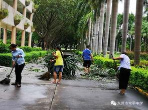 吃瓜群众没有翻车,未现翻车风波