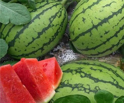 大集吃瓜,揭秘热闹非凡的乡村集市盛况