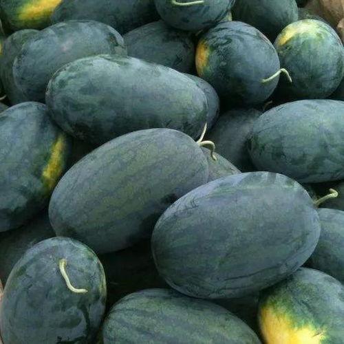 等待吃瓜的图片,揭秘等待吃瓜的趣味瞬间