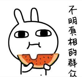 自我调侃自己吃瓜,我的“吃瓜”日常自嘲记